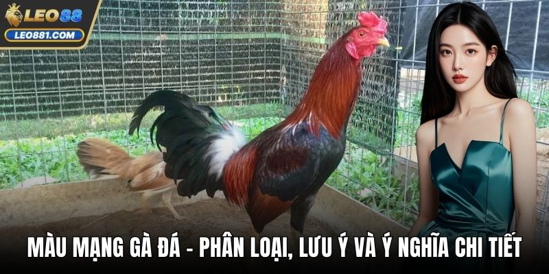 Màu Mạng Gà Đá – Phân Loại, Lưu Ý Và Ý Nghĩa Chi Tiết